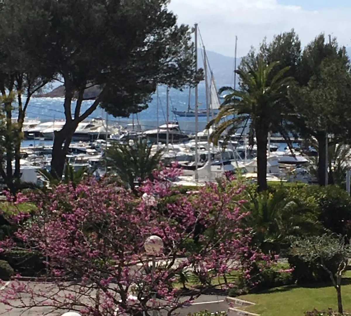 Appartement -Piscine- Proche Bord De Mer Et Centre Saint-Raphael  0*, Saint-Raphael (Var) France
